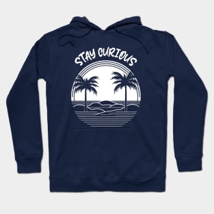 Stay Curious Hoodie